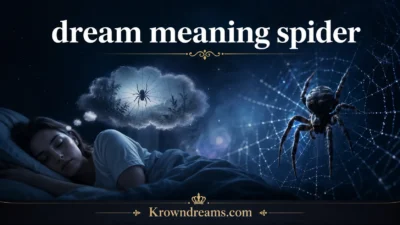 dream meaning spider