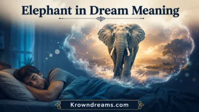 Elephant in Dream Meaning