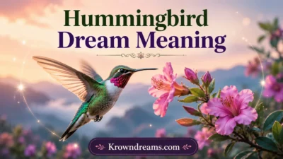 Hummingbird Dream Meaning