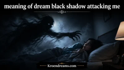meaning of dream black shadow attacking me